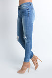 Perry Distressed Skinny Jeans